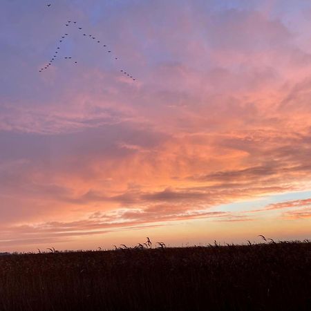 Deichkoje12 Direkt Am Eiderdeich Nur 7 Km Bis Zur Nordsee Und 20 Min Bis Sankt Peter Ording Tönning Eksteriør bilde