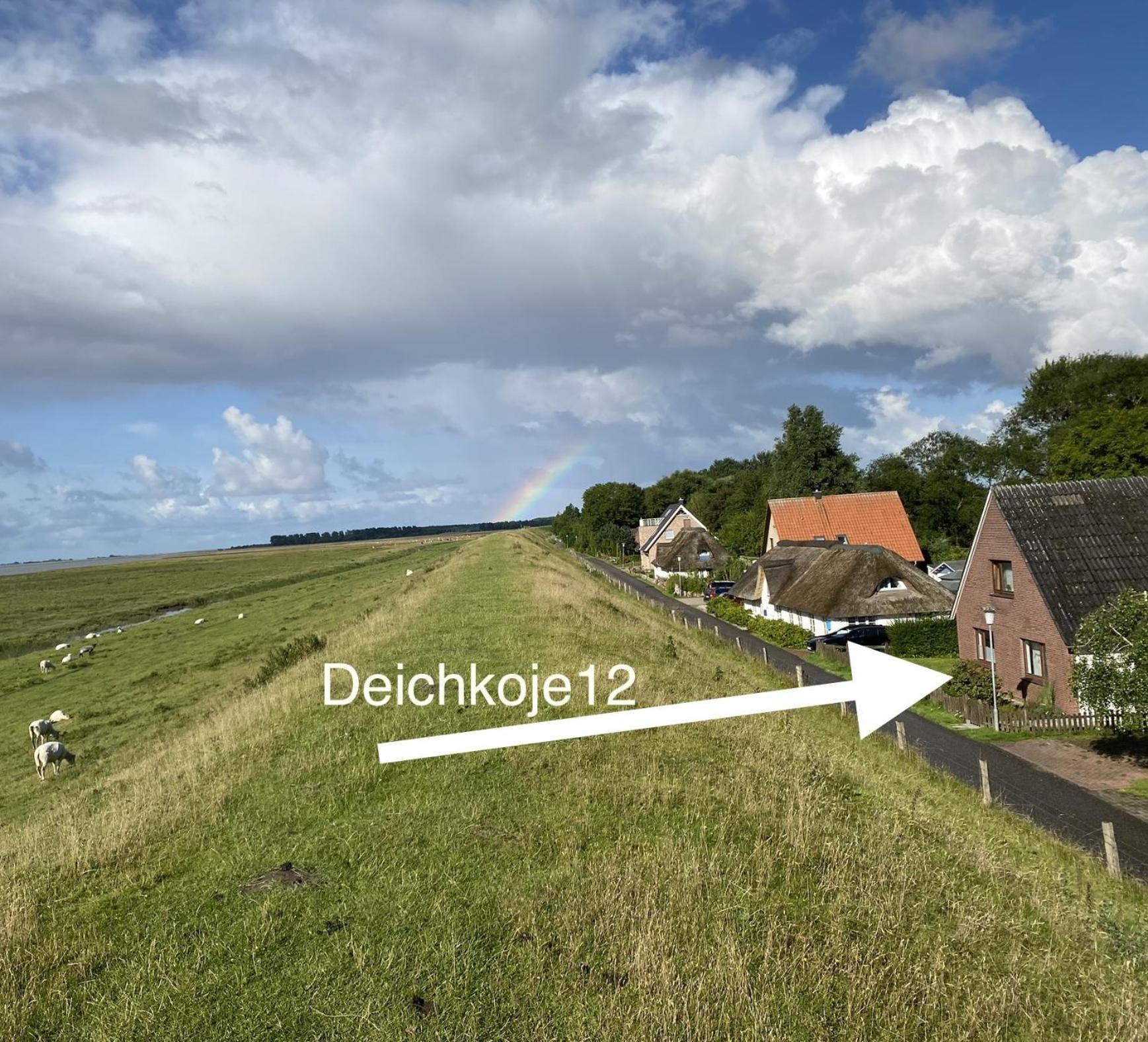 Deichkoje12 Direkt Am Eiderdeich Nur 7 Km Bis Zur Nordsee Und 20 Min Bis Sankt Peter Ording Tönning Eksteriør bilde